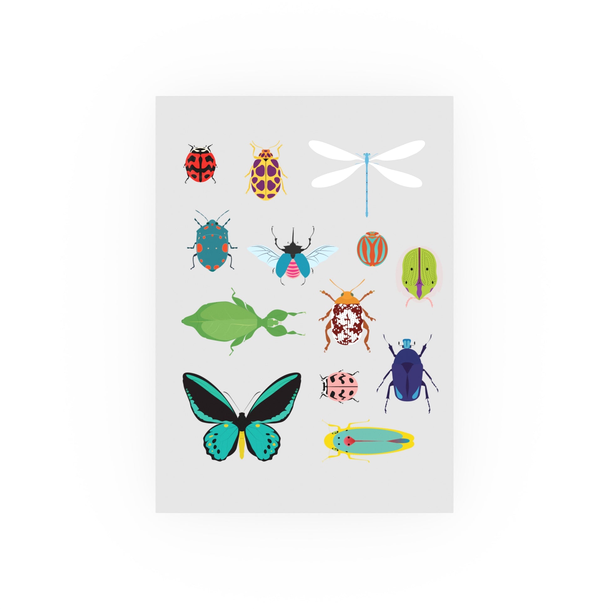 Insect Collection Satin and Archival Matte Posters - Poster