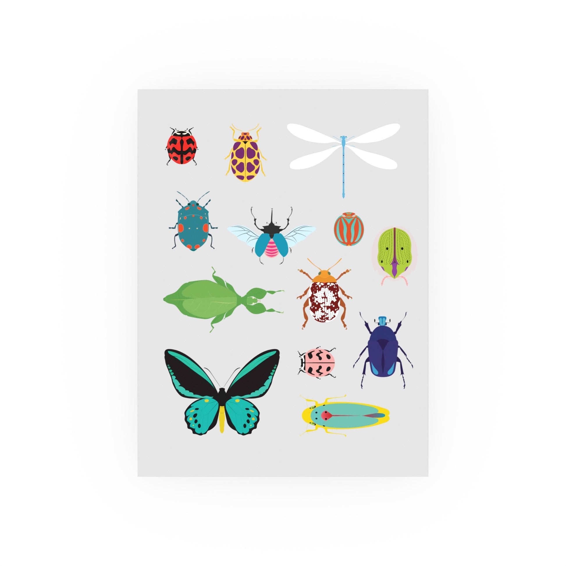 Insect Collection Satin and Archival Matte Posters - Poster
