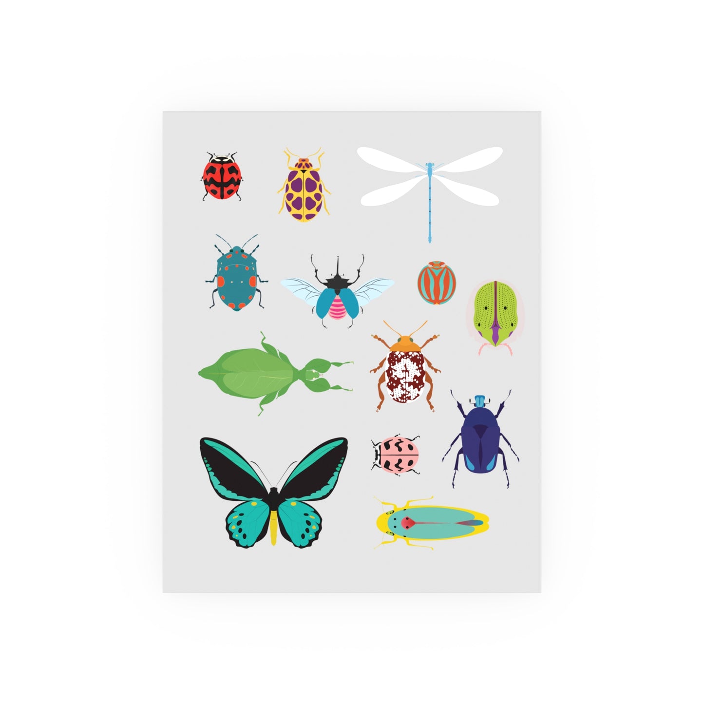Insect Collection Satin and Archival Matte Posters - Poster