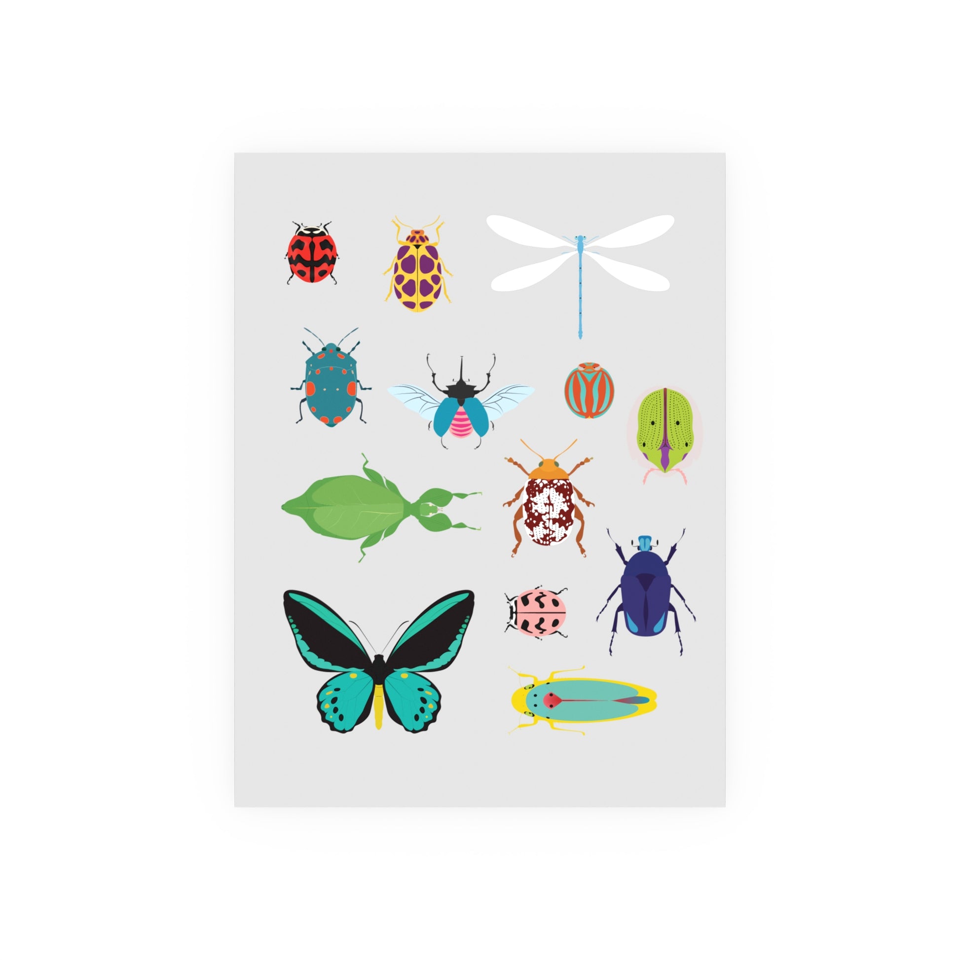 Insect Collection Satin and Archival Matte Posters - Poster
