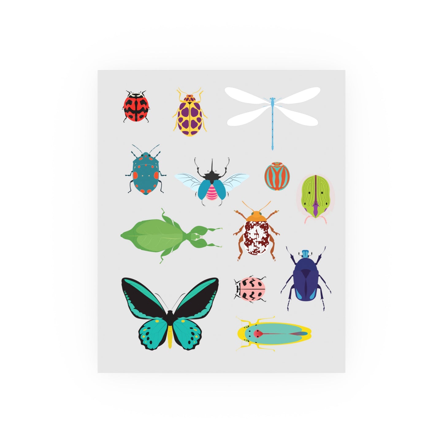 Insect Collection Satin and Archival Matte Posters - Poster